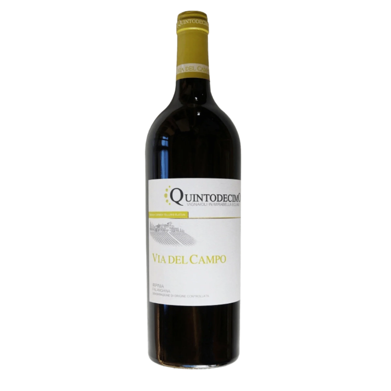 Falanghina Via del Campo Quintodecimo