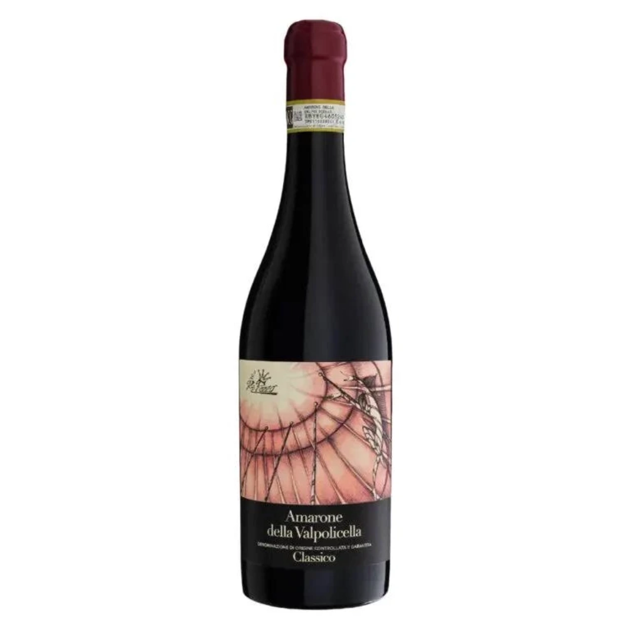 Amarone della Valpolicella DOCG Re Pazzo Terre di Leone
